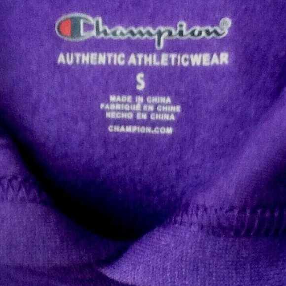 warm NEW Sz SMALL Champion Girls 7-16 Raglan Graphic Hoodie Sweatshirt in PURPLE - Picture 2 of 5
